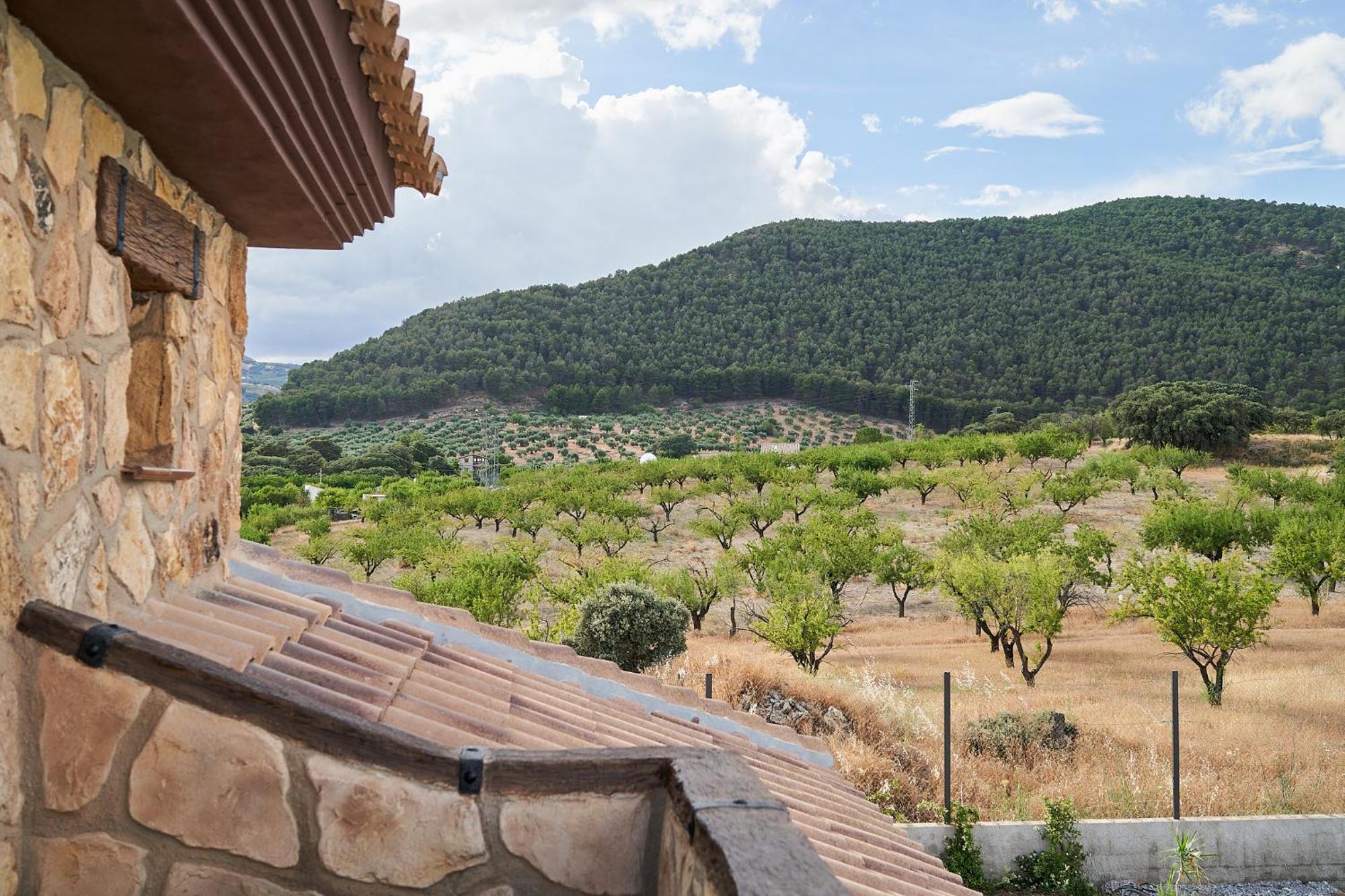 Villa Canela Illora ภายนอก รูปภาพ